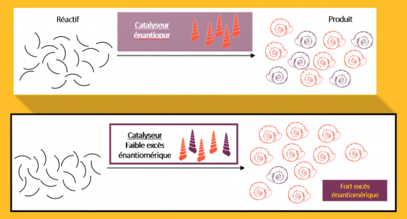 Hyperpositive nonlinear catalysis …
