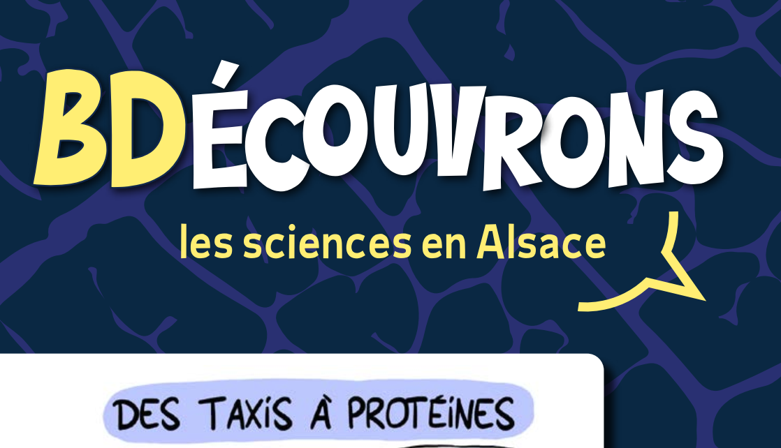 Des taxis à protéines