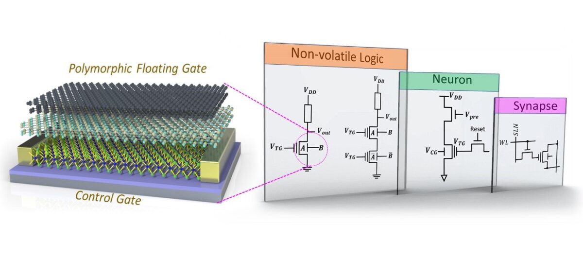 Une topologie de grille flottante pour des circuits agiles d’Intelligence Artificielle