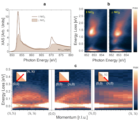 Infinite-layer nickelates: a new step towards understanding unconventional superconductivity