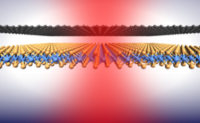 Le graphène comme filtre optique intégré pour des semiconducteurs bidimensionnels